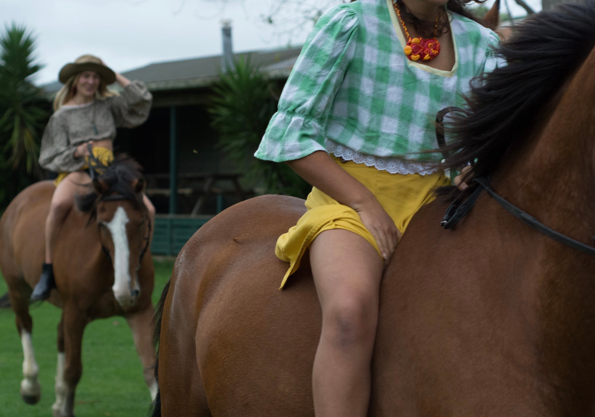 Kowhai crop top